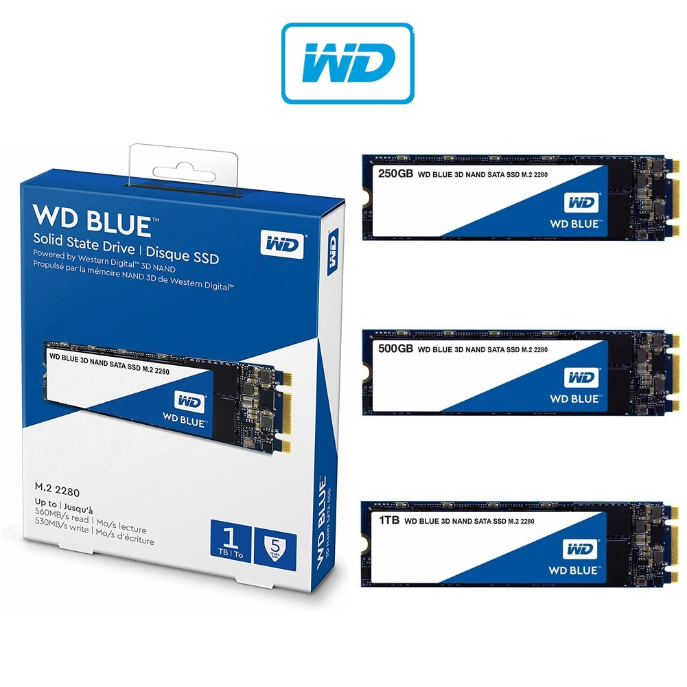 Western Digital 250GB WD Blue 3D NAND Internal PC SSD - SATA III 6 Gb/s,  M.2 2280, Up to 550 MB/s - WDS250G2B0B
