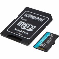 1TB CANVAS GO PLUS MICROSD MEMORY CARD