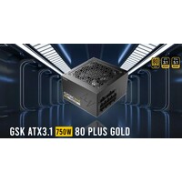 Antec GSK750 80+ Gold Fully Modular ATX 3.1, PCI-E 5.1 latest High Quality Japanese Capacitors, Ultimate performance and reliability, PSU