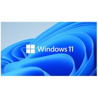 Microsoft Windows 11 Professional for Workstation 64 BIT - By Order NEW